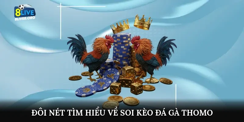 Đôi nét tìm hiểu về soi kèo đá gà thomo